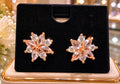 Rose gold in star